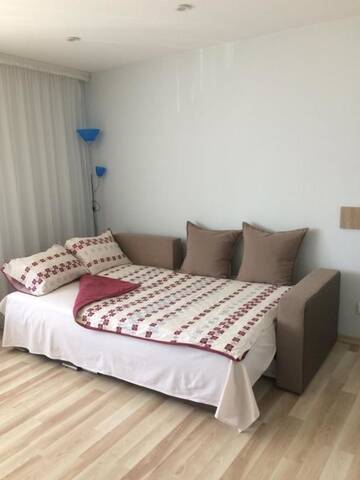 Фото номера Апартаменты-студио Апартаменты Apartment Elizabeth г. Елгава 36