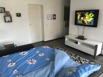 Фото номера Апартаменты-студио Апартаменты Fine Apartment г. Елгава 34