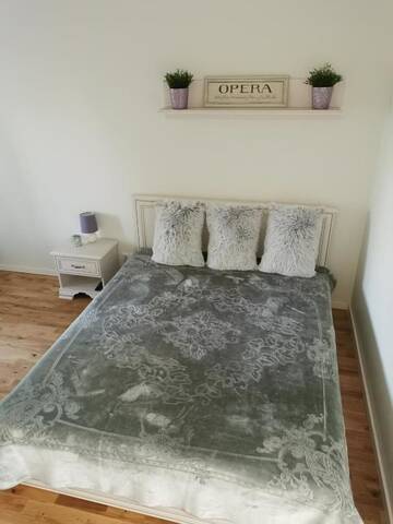 Фото номера Апартаменты с 1 спальней Апартаменты OPERA apartments г. Елгава 70