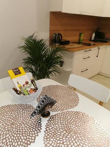 Фото Апартаменты OPERA apartments г. Елгава 5