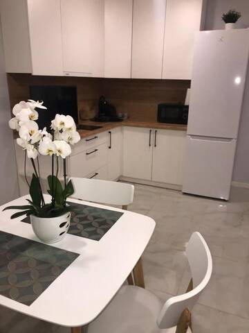 Фото номера Апартаменты с 1 спальней Апартаменты OPERA apartments г. Елгава 37