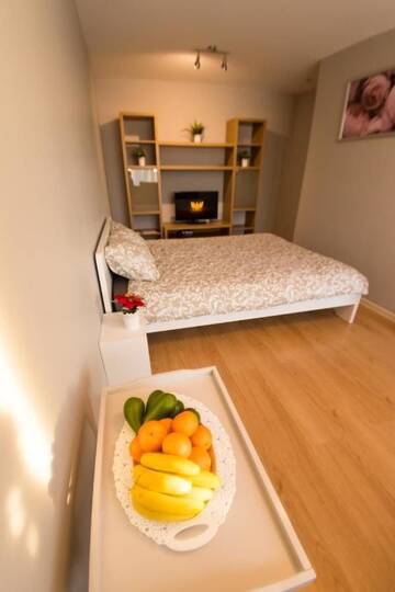 Фото Апартаменты Studio Private Apartment г. Елгава 3