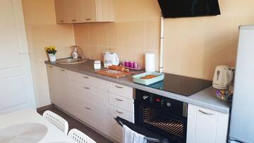 Фото номера Апартаменты с 1 спальней Апартаменты Birch view apartment г. Елгава 8