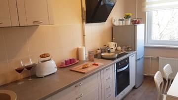 Фото Апартаменты Birch view apartment г. Елгава 5