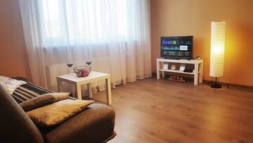 Фото Апартаменты Birch view apartment г. Елгава 1