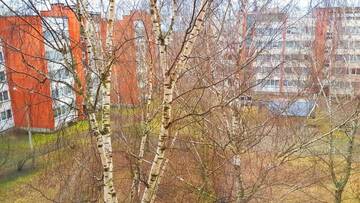 Фото номера Апартаменты с 1 спальней Апартаменты Birch view apartment г. Елгава 18