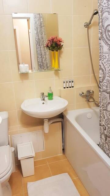 Фото номера Апартаменты с 1 спальней Апартаменты Birch view apartment г. Елгава 9