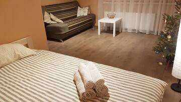 Фото Апартаменты Birch view apartment г. Елгава 3
