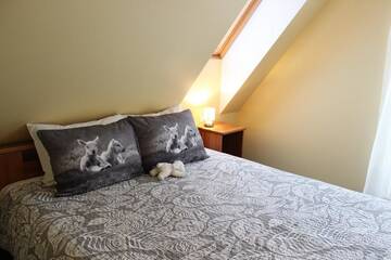 Фото номера Полулюкс Гостевой дом Hotel Senlīči г. Елгава 3